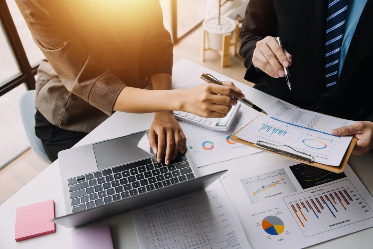 software audit